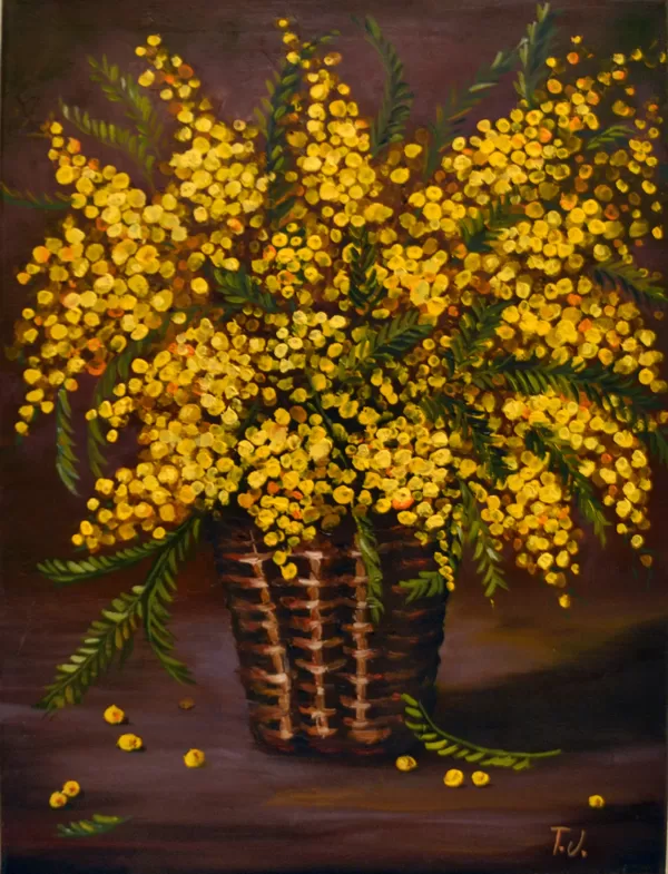 yellow acacia. oil,canvas,size 30x40